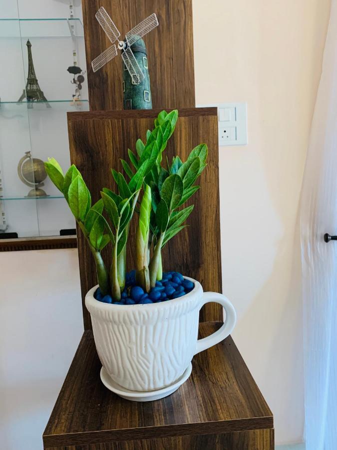 Jasmin Villa Vanivilasa Puram Екстер'єр фото